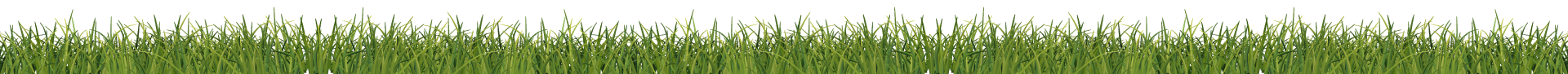 grass