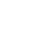 dog-foot